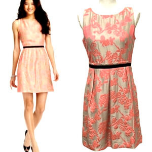 Ann Taylor Floral Feminine Mini Dress Size 6 Coral Velvet Preppy Cottagecore